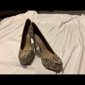 Steve Madden Snake Skin
